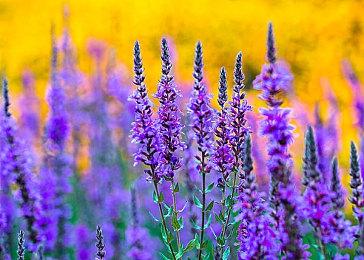 TGA 2022：《死亡搁浅2》将登陆PS5